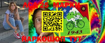 хмурый Сланцы