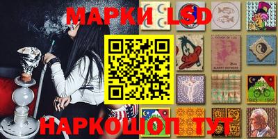 хмурый Сланцы