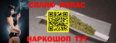 хмурый Сланцы