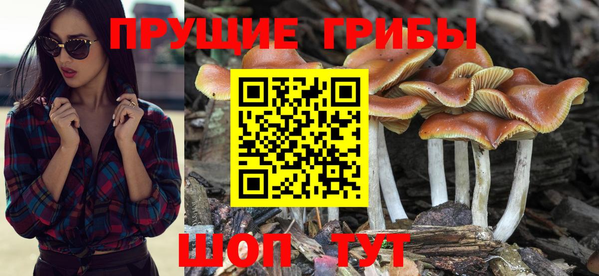 Галлюциногенные грибы ЛСД Ачинск