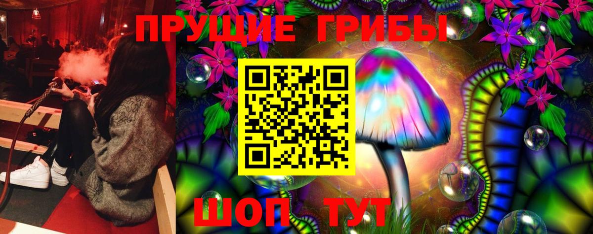 Псилоцибиновые грибы мицелий  Вход с VPN  Ачинск 